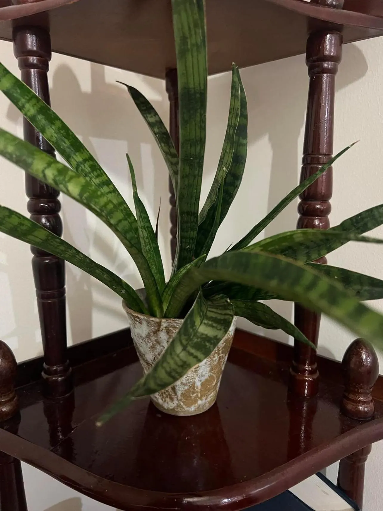 On site in Inspiria Condominium Tower, beside Abreeza Ayala Mall, Davao City