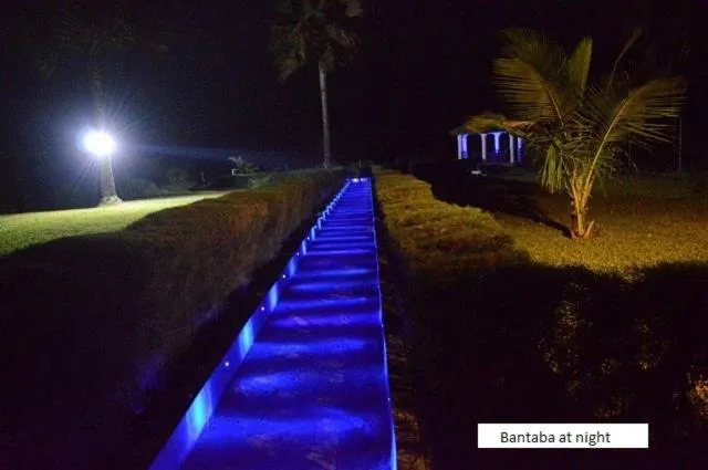 Garden in Ocean Villa Heights