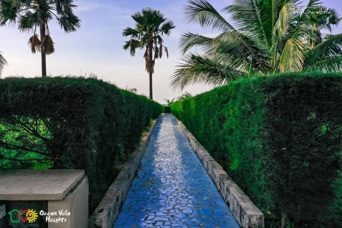 Garden in Ocean Villa Heights