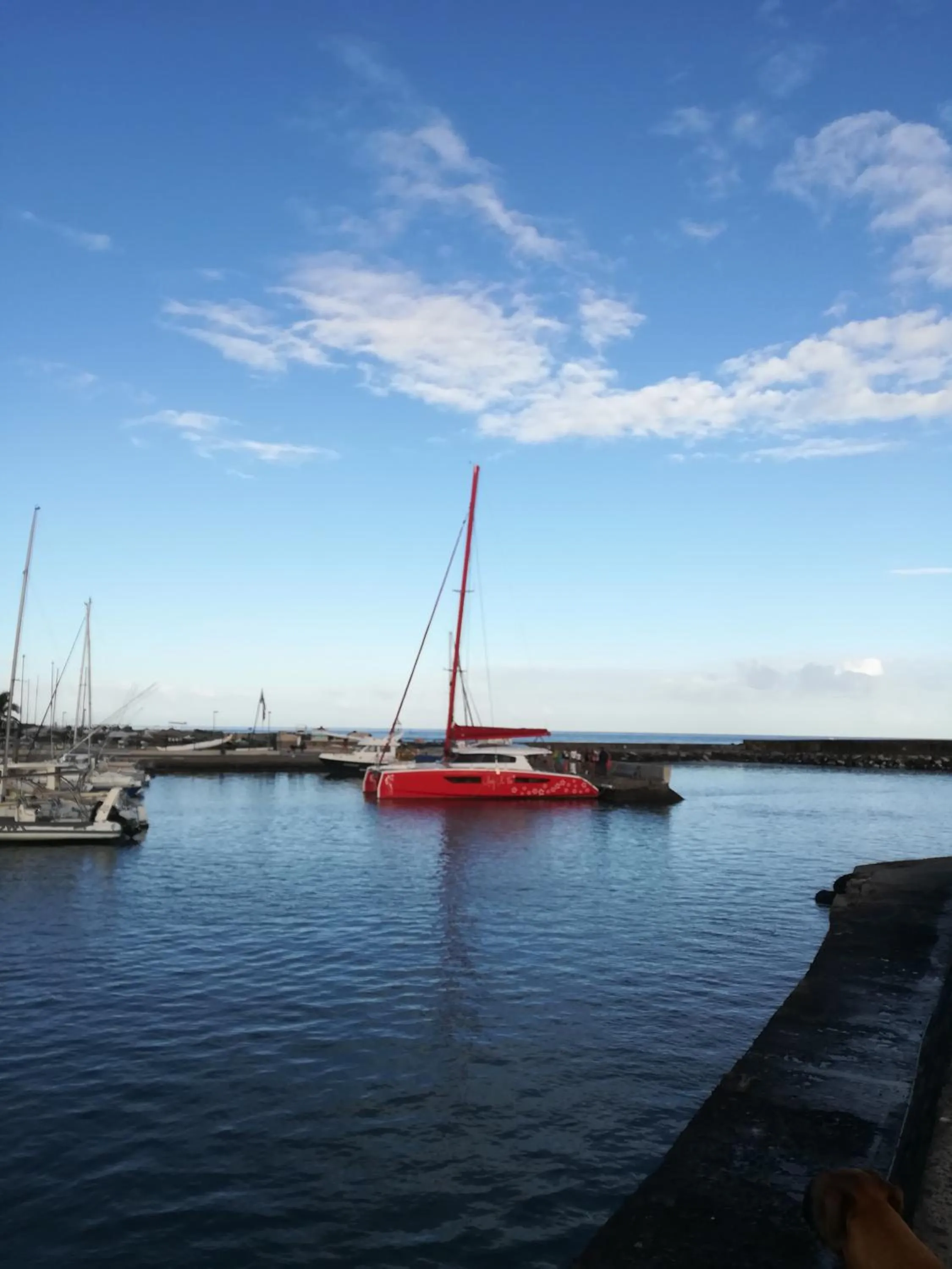 Natural landscape in Hotel De la Plage