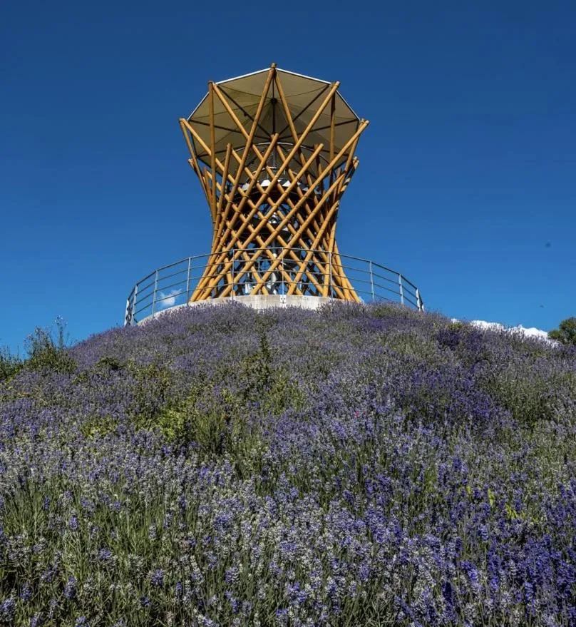 Hotel Active Stadium