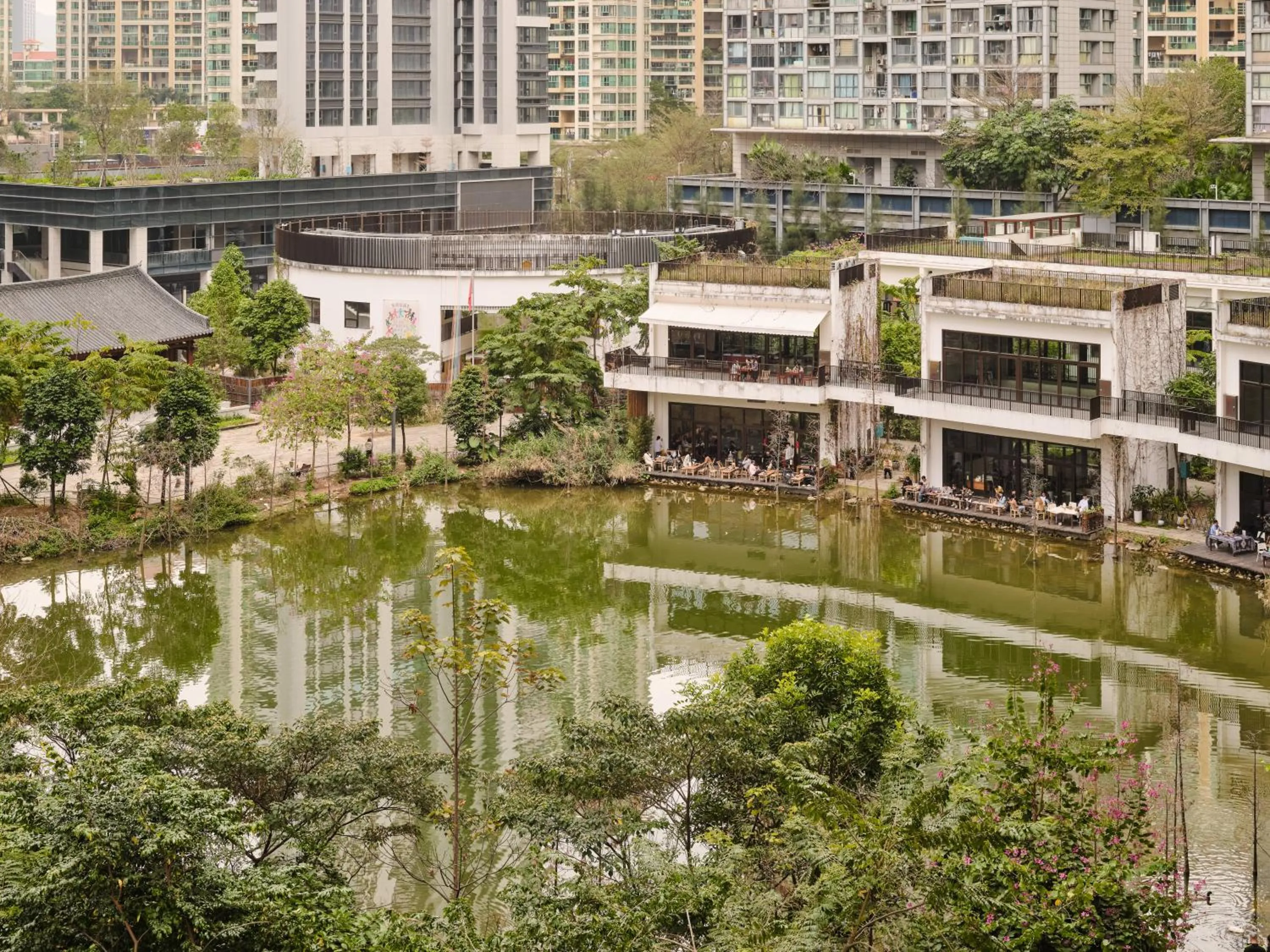 View (from property/room) in Wutong Hotel Apartment Bao'an Center