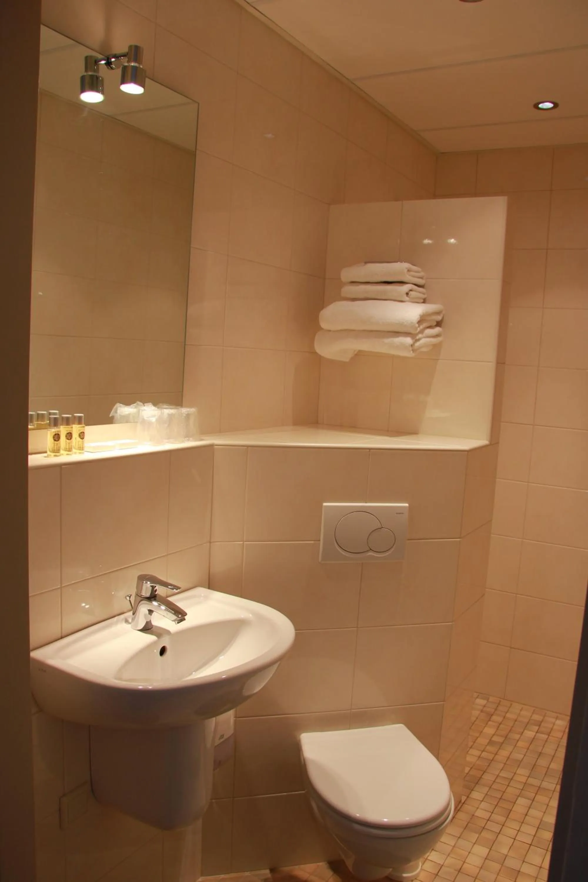 Shower in Hotel Hof van Twente