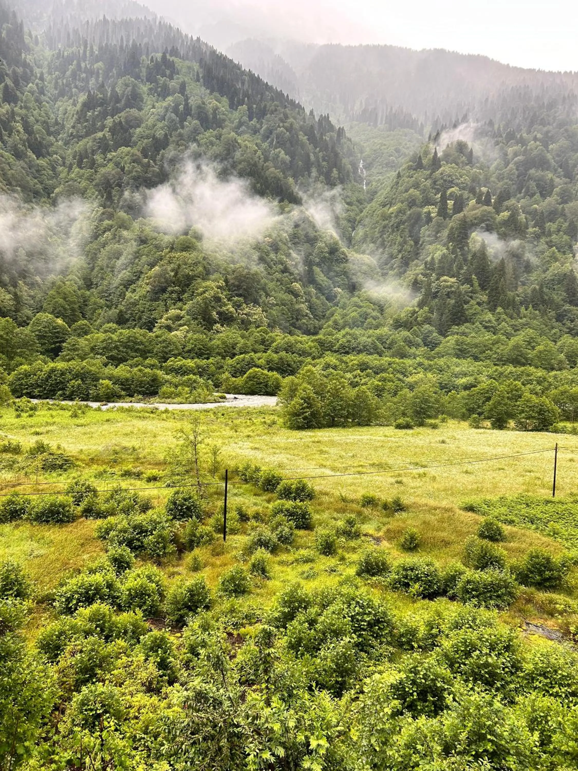 Meydan Şelale Dağ Evi