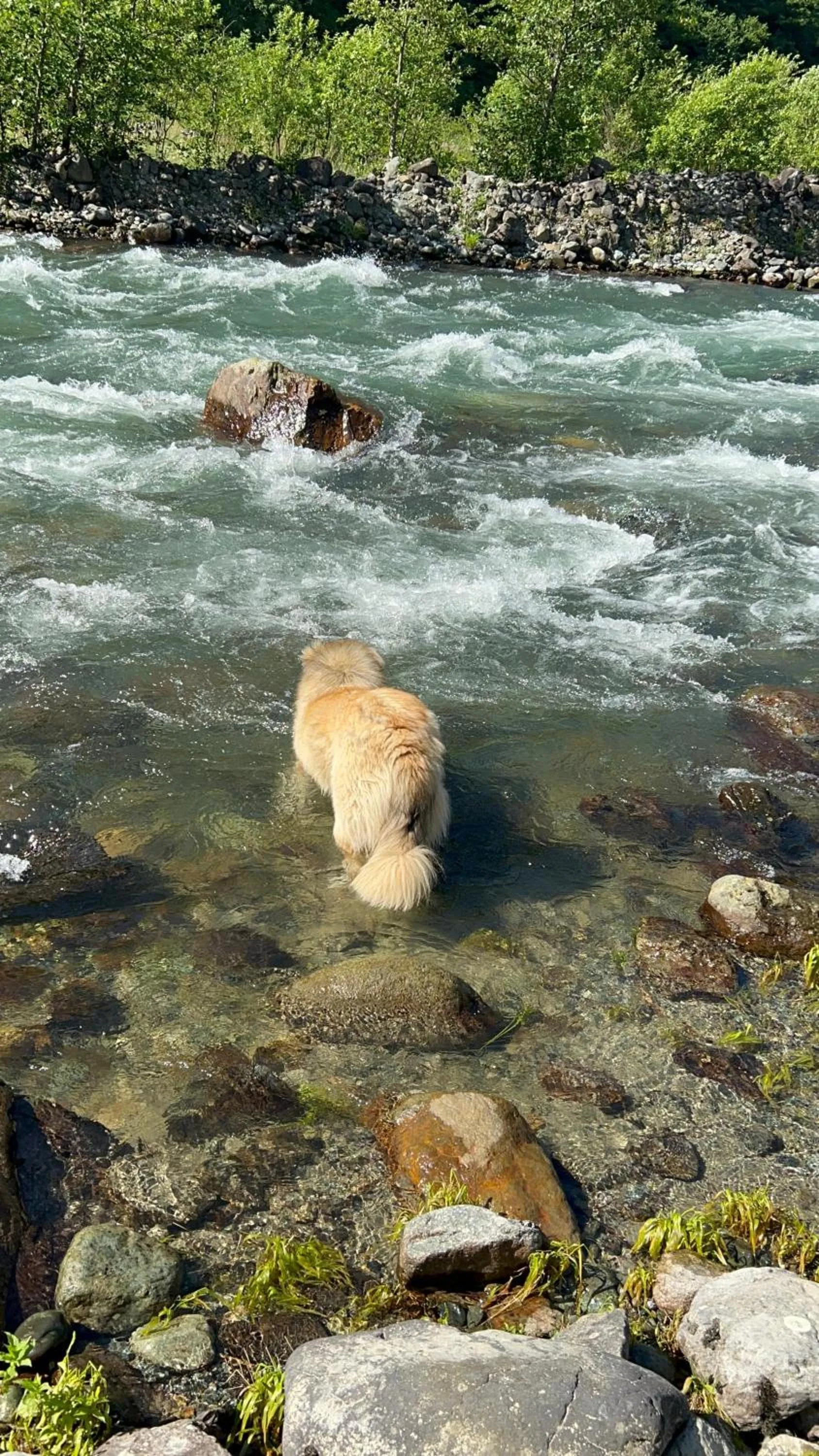Meydan Şelale Dağ Evi