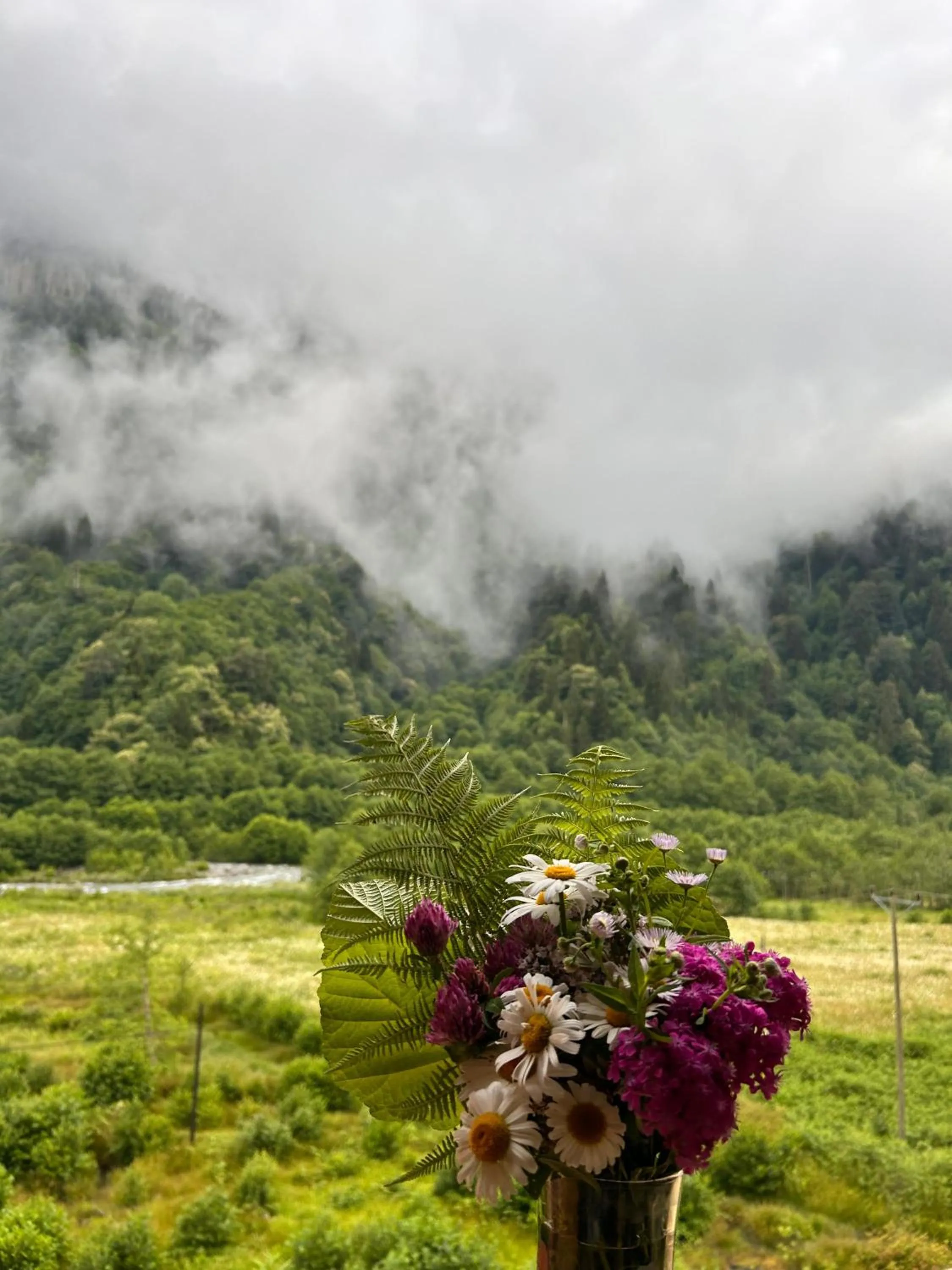Meydan Şelale Dağ Evi
