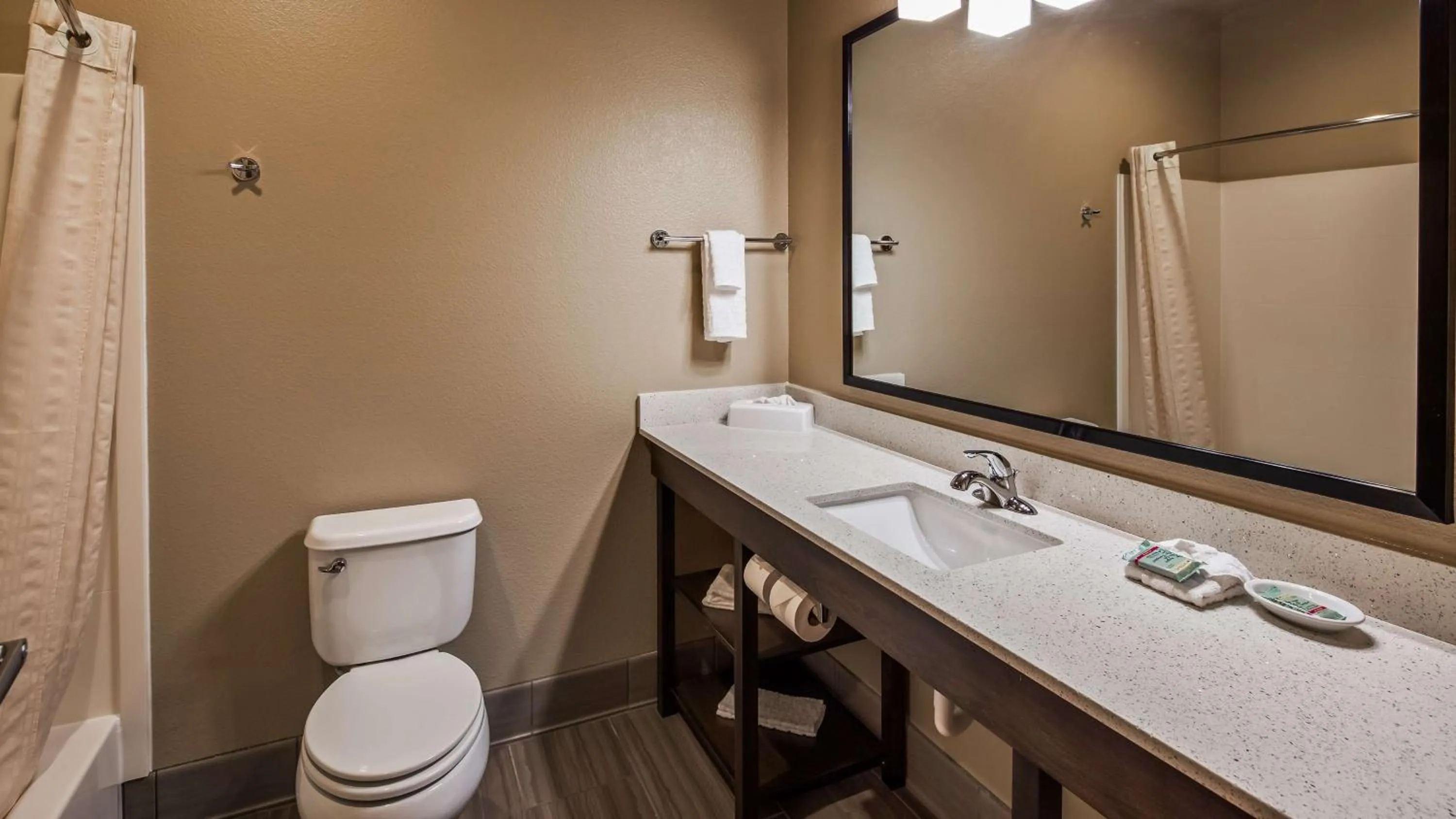 Bathroom in Best Western Golden Spike Inn & Suites