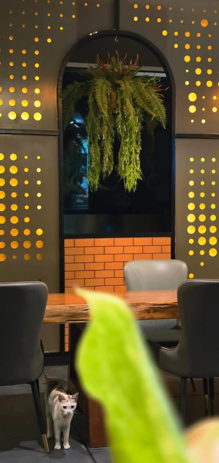 Seating area in LHC HOTEL AND RESORT