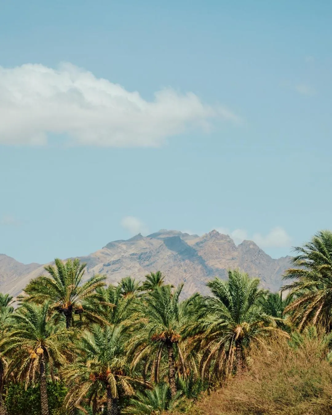 Deluxe Mountain View Twin Room  in Mandarin Oriental, Muscat