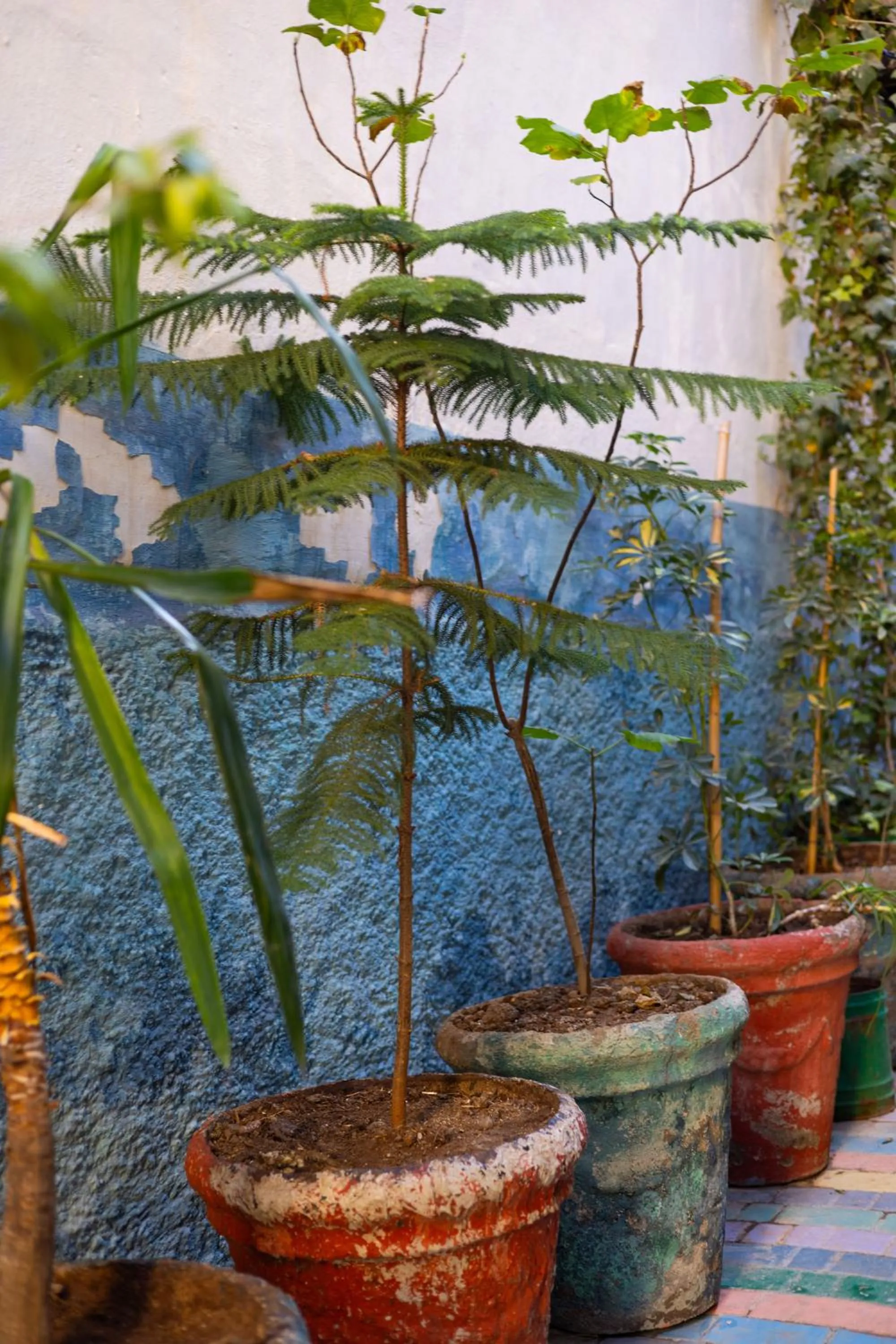 Property building in Riad 9 Fez