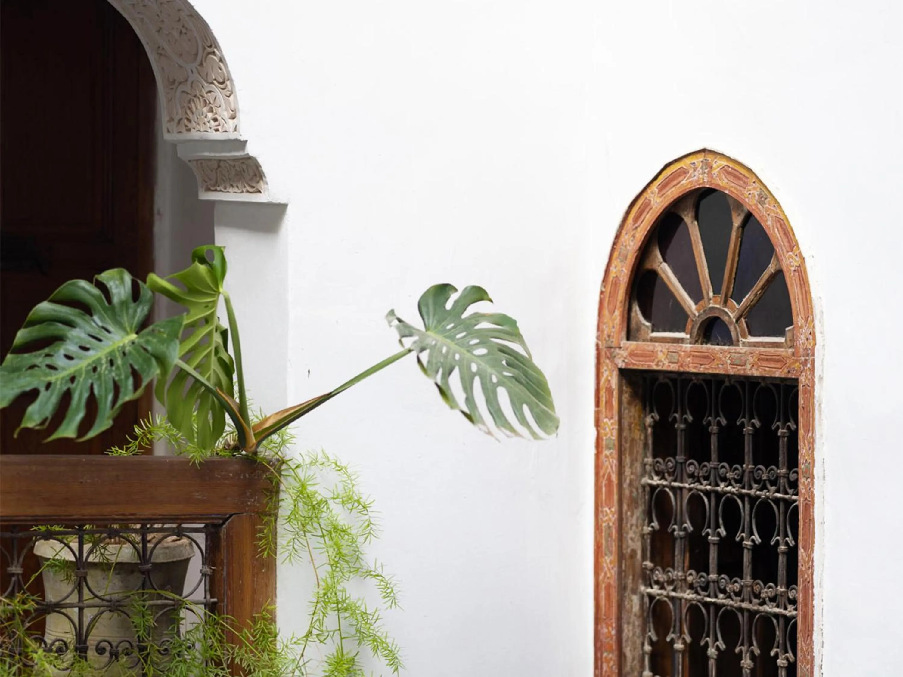 Garden view in Riad 9 Fez