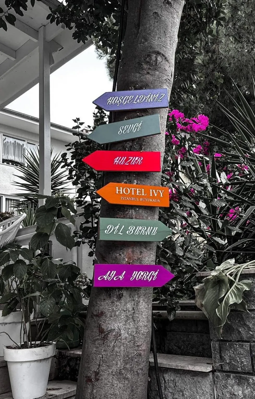 hi HOTEL IVY BÜYÜKADA