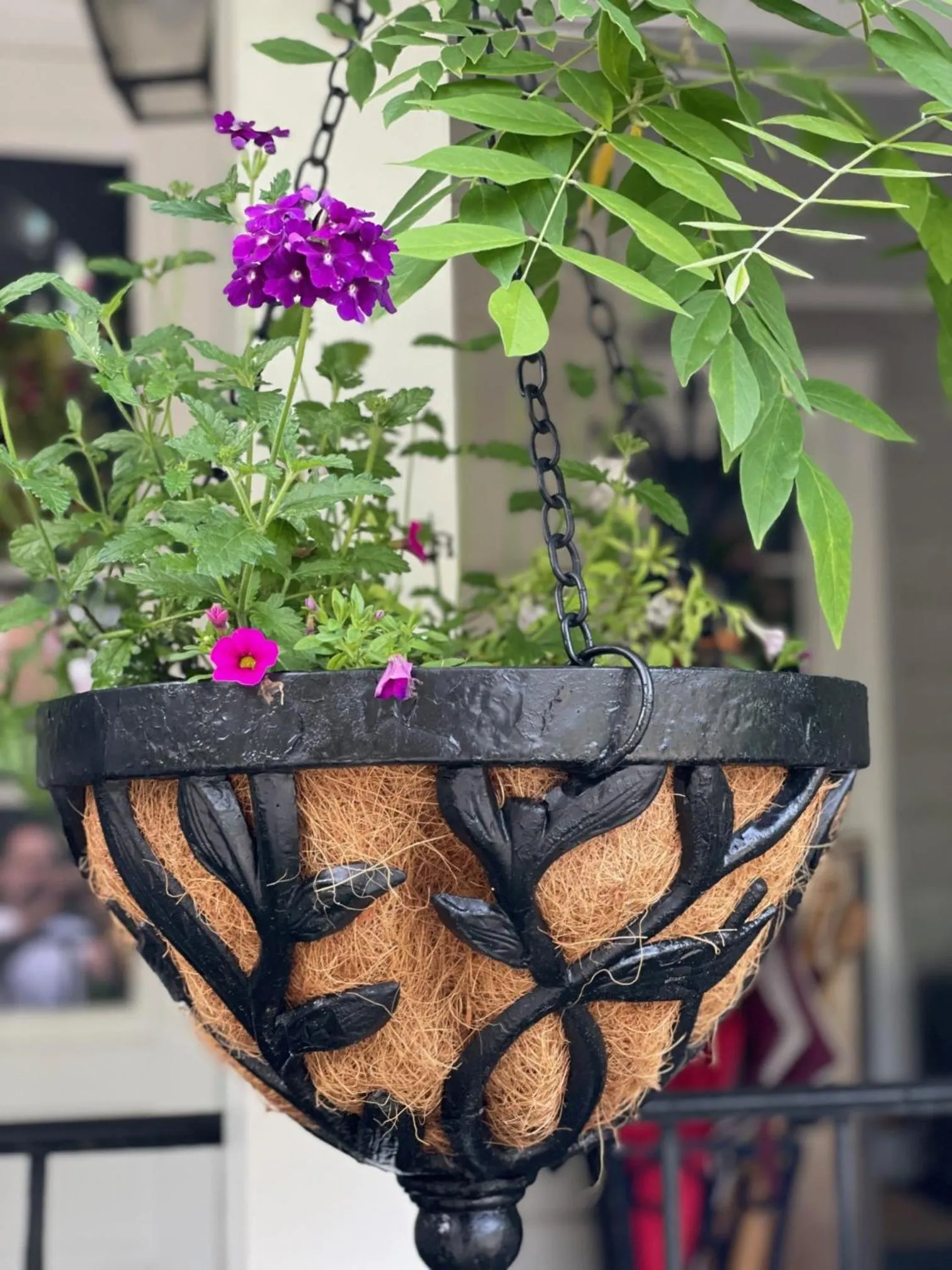 Property building in Beacon Hermitage