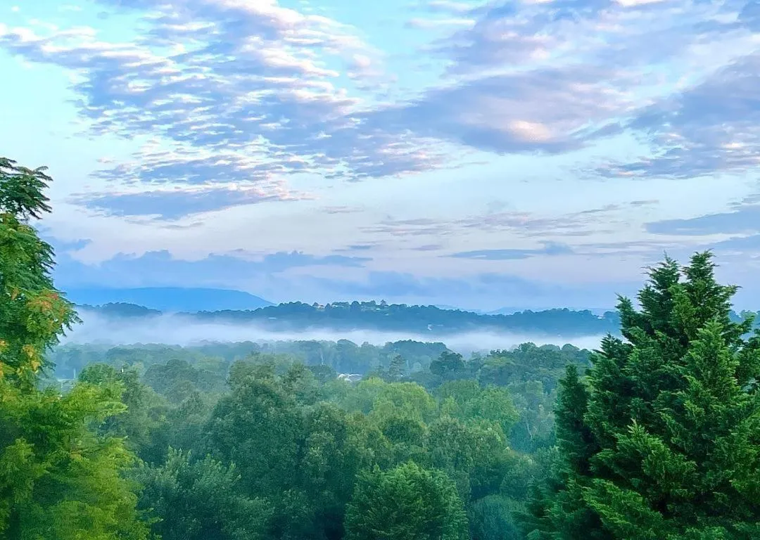 View (from property/room) in Our Castleview