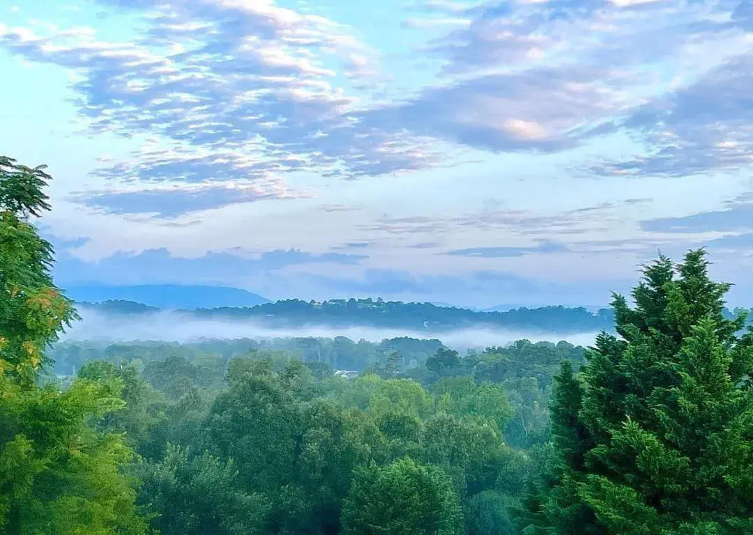 Our Castleview Our Castleview