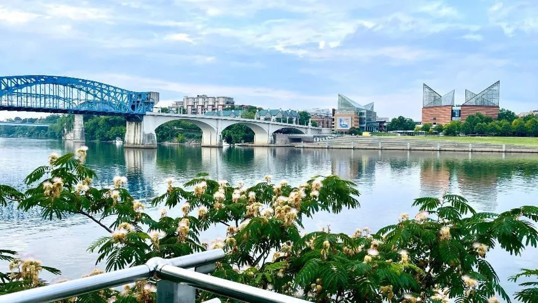 Neighbourhood in Our Castleview