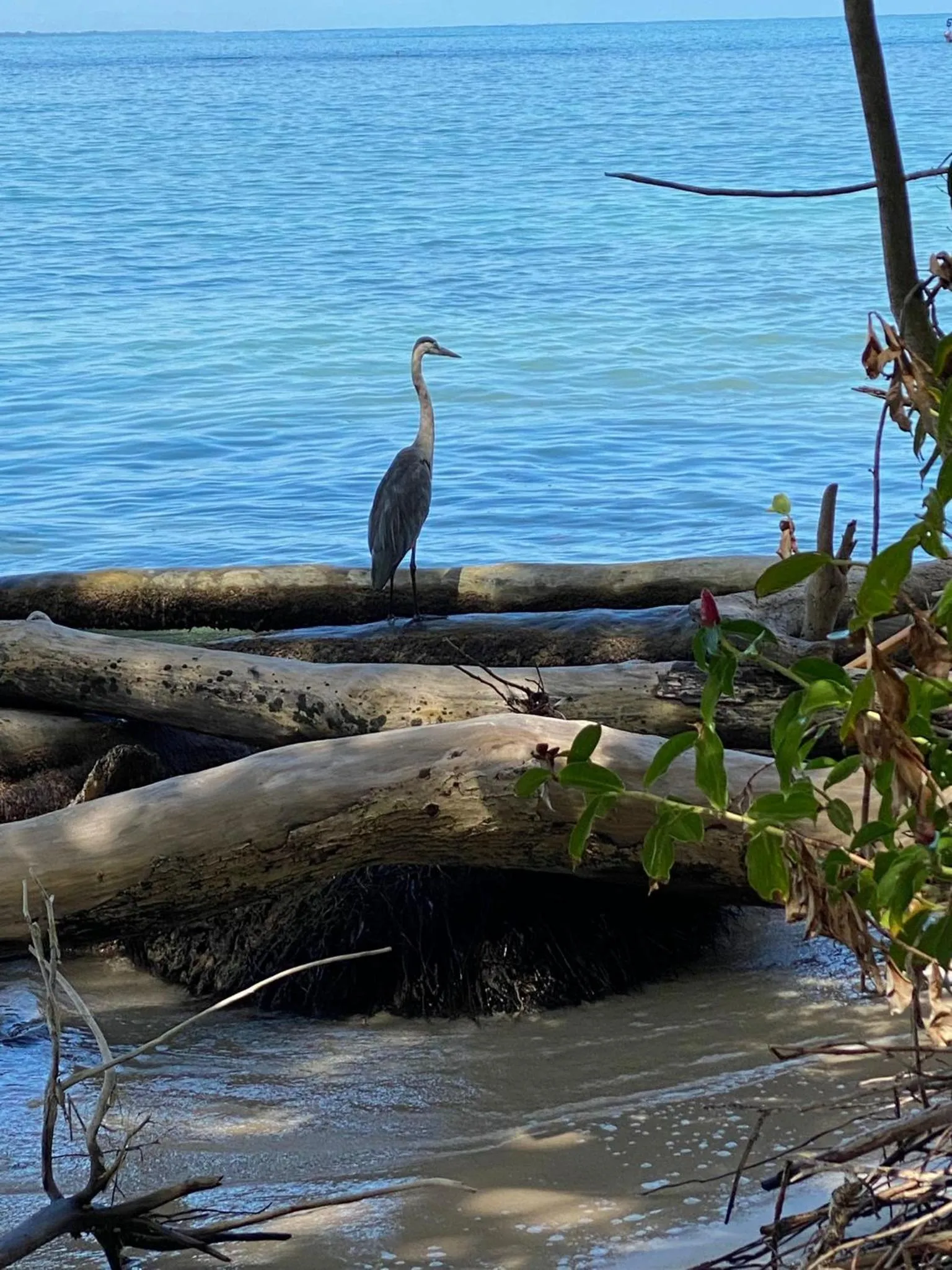 Natural landscape in Hotel El Colibri Rojo