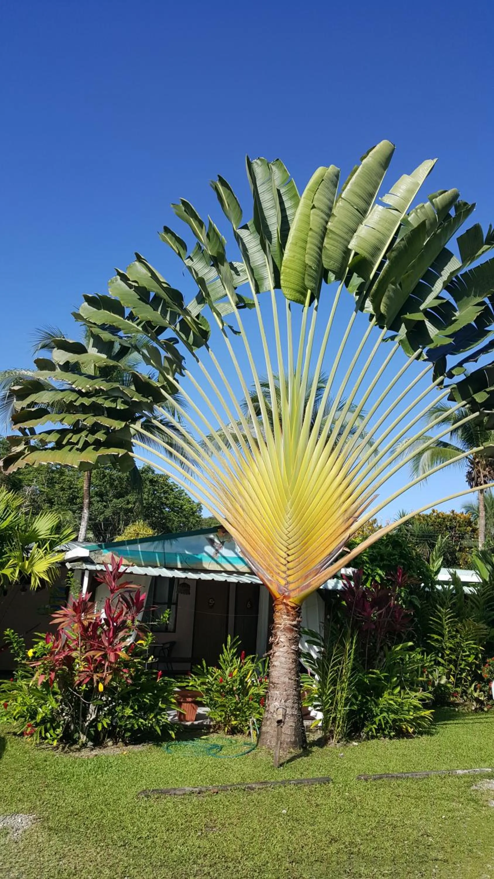 Property building in Hotel El Colibri Rojo