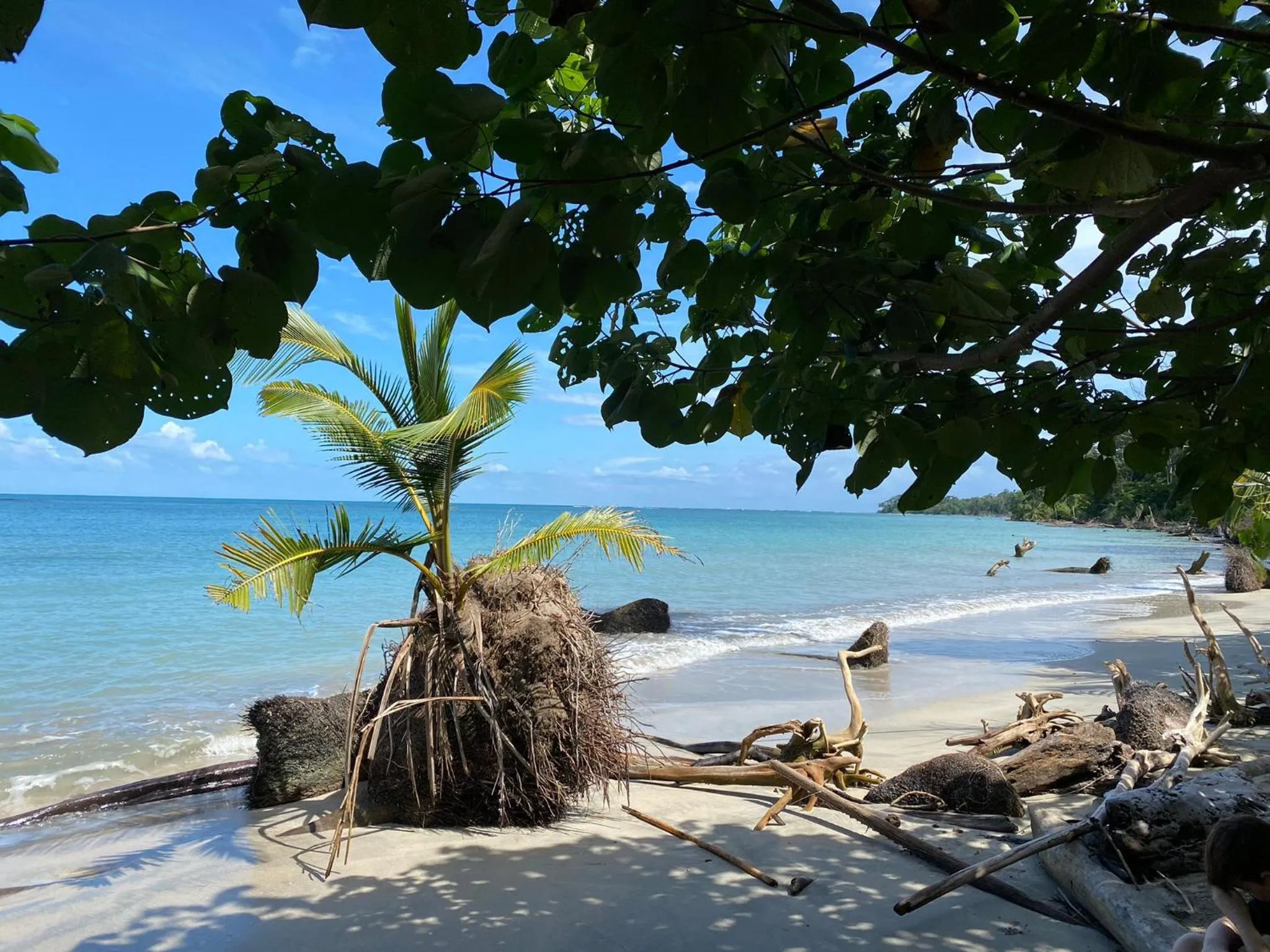 Beach in Hotel El Colibri Rojo