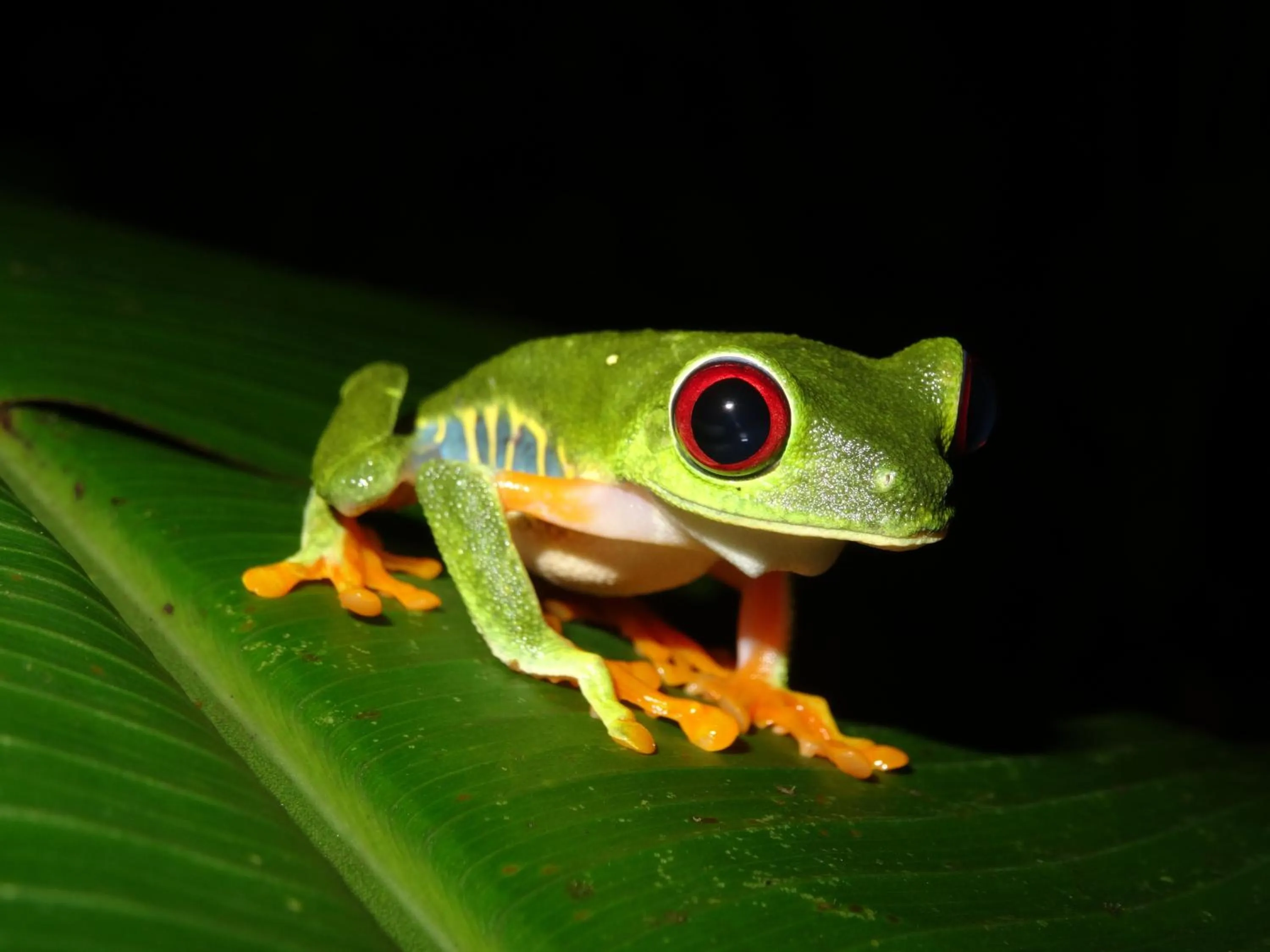 Off site in Hotel El Colibri Rojo