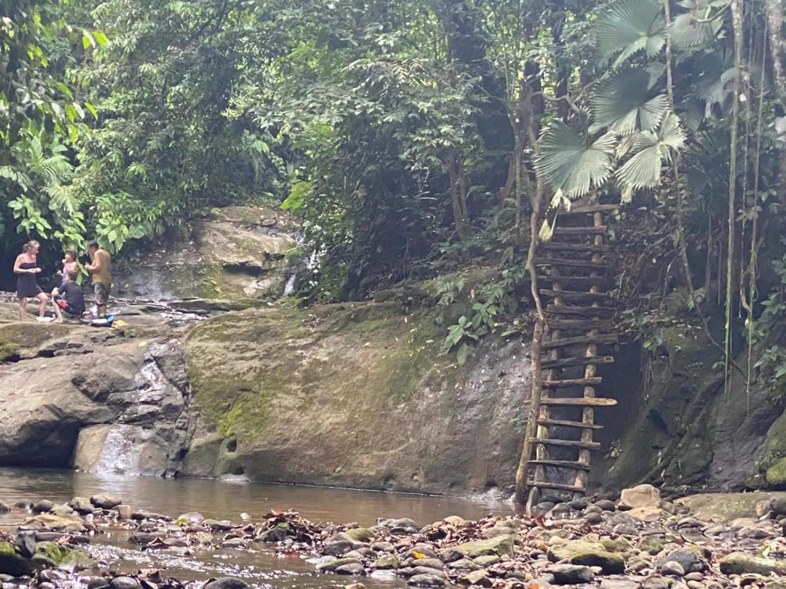 Natural landscape in Hotel El Colibri Rojo