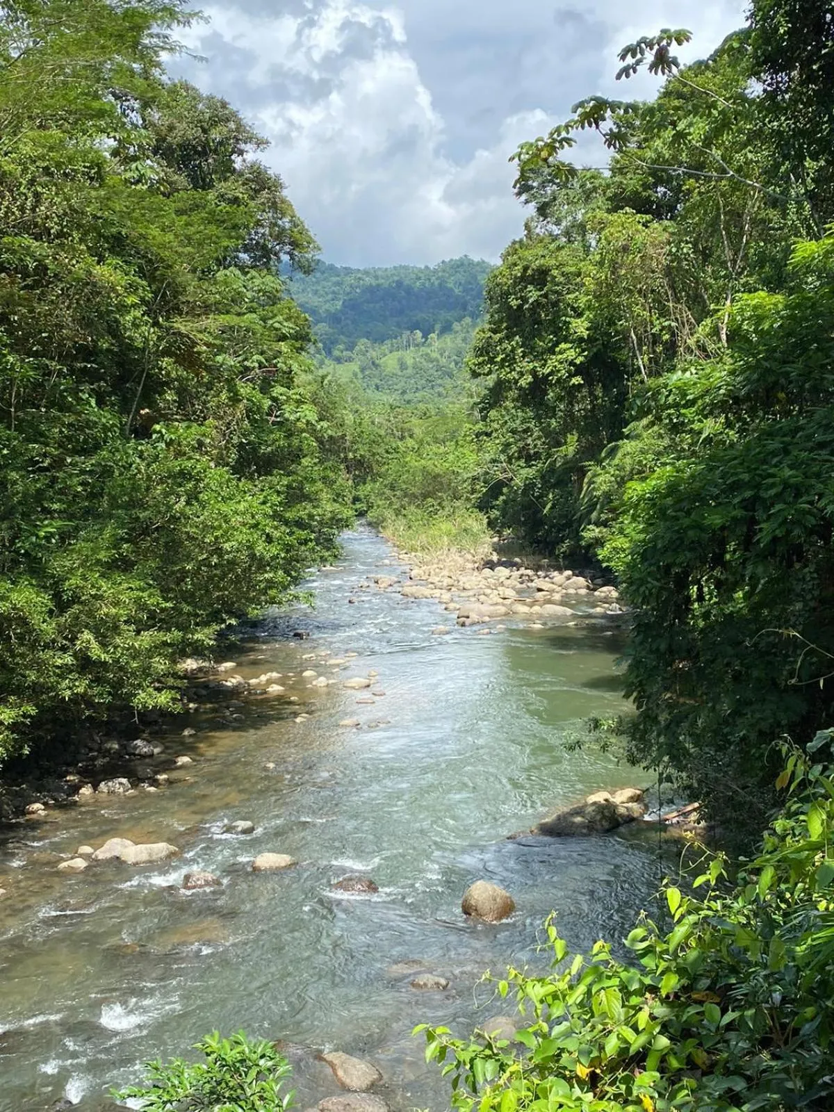 Natural landscape in Hotel El Colibri Rojo