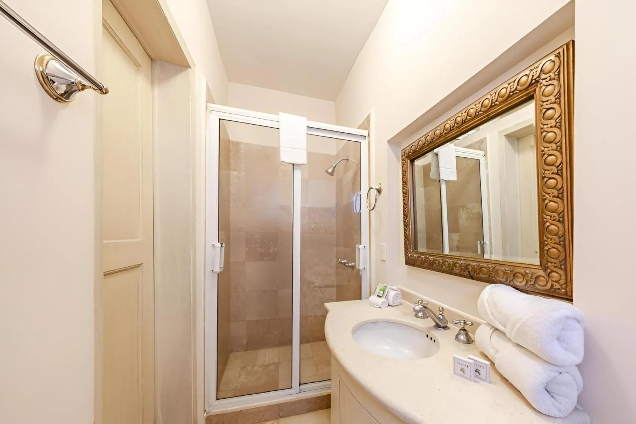 Shower in Suites Newton