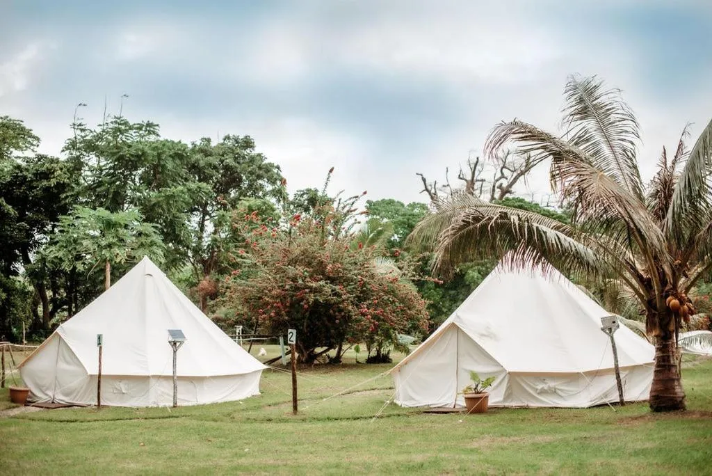 Garden in Le Life Resort