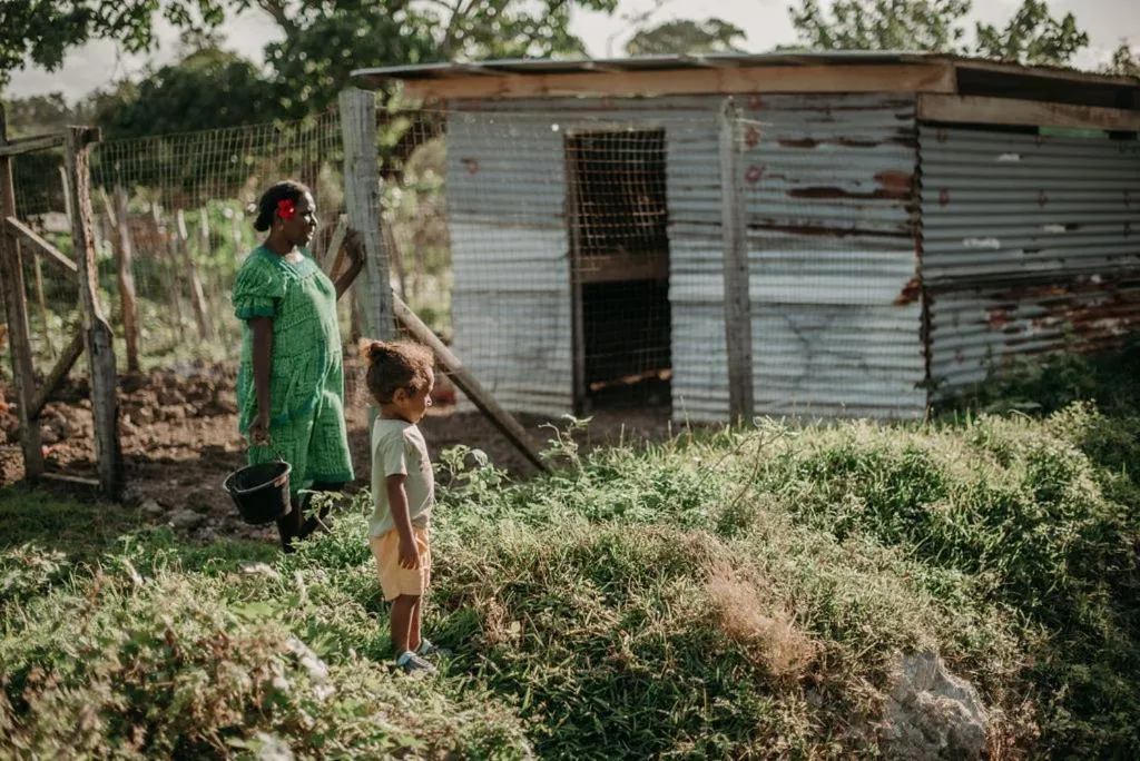 Animals in Le Life Resort