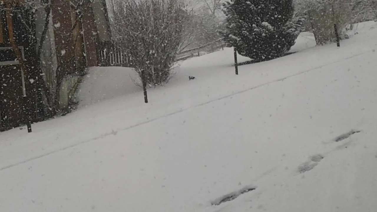 Winter in Hotel Sternen - Anno 1769