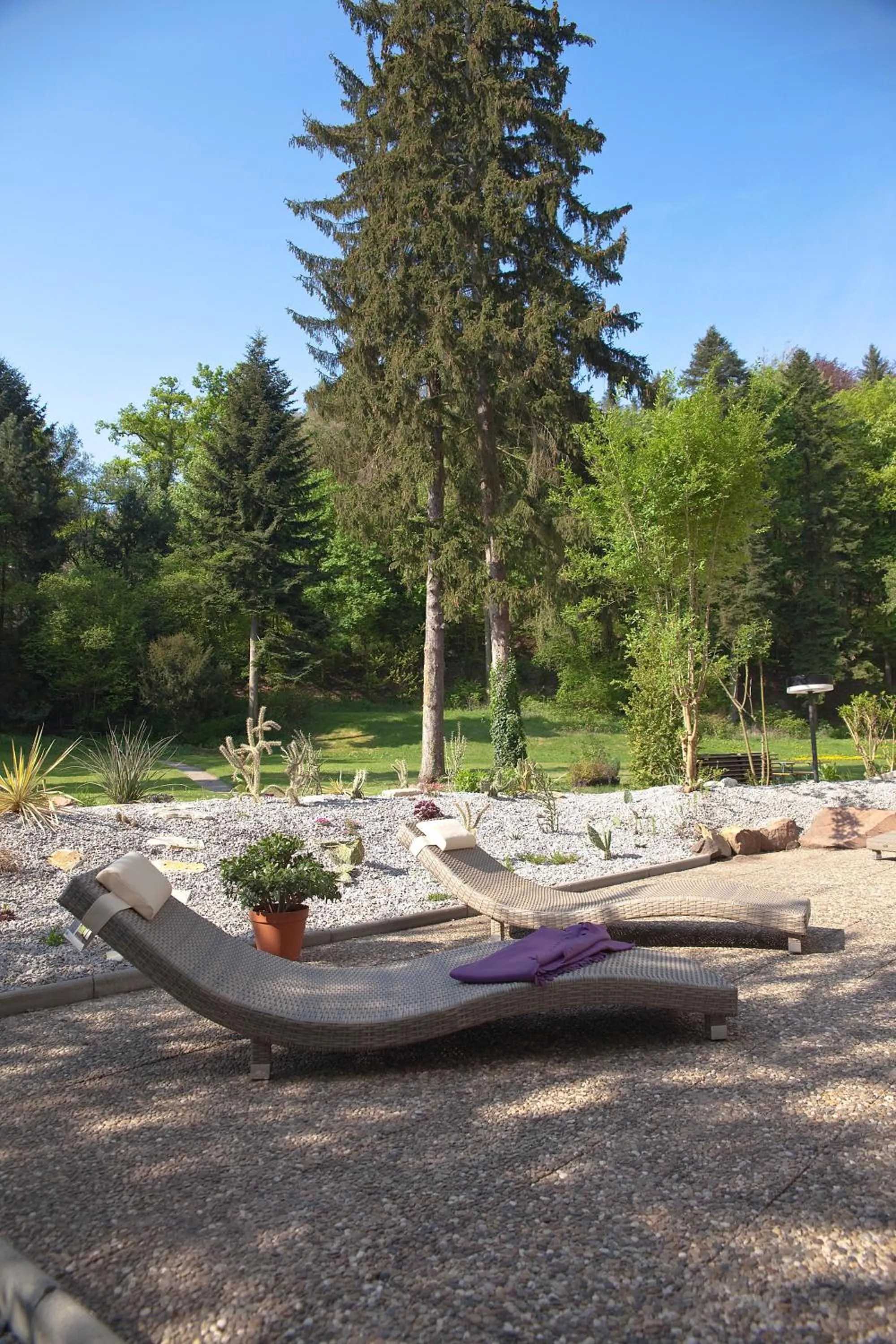 Garden in Hotel Luisenpark
