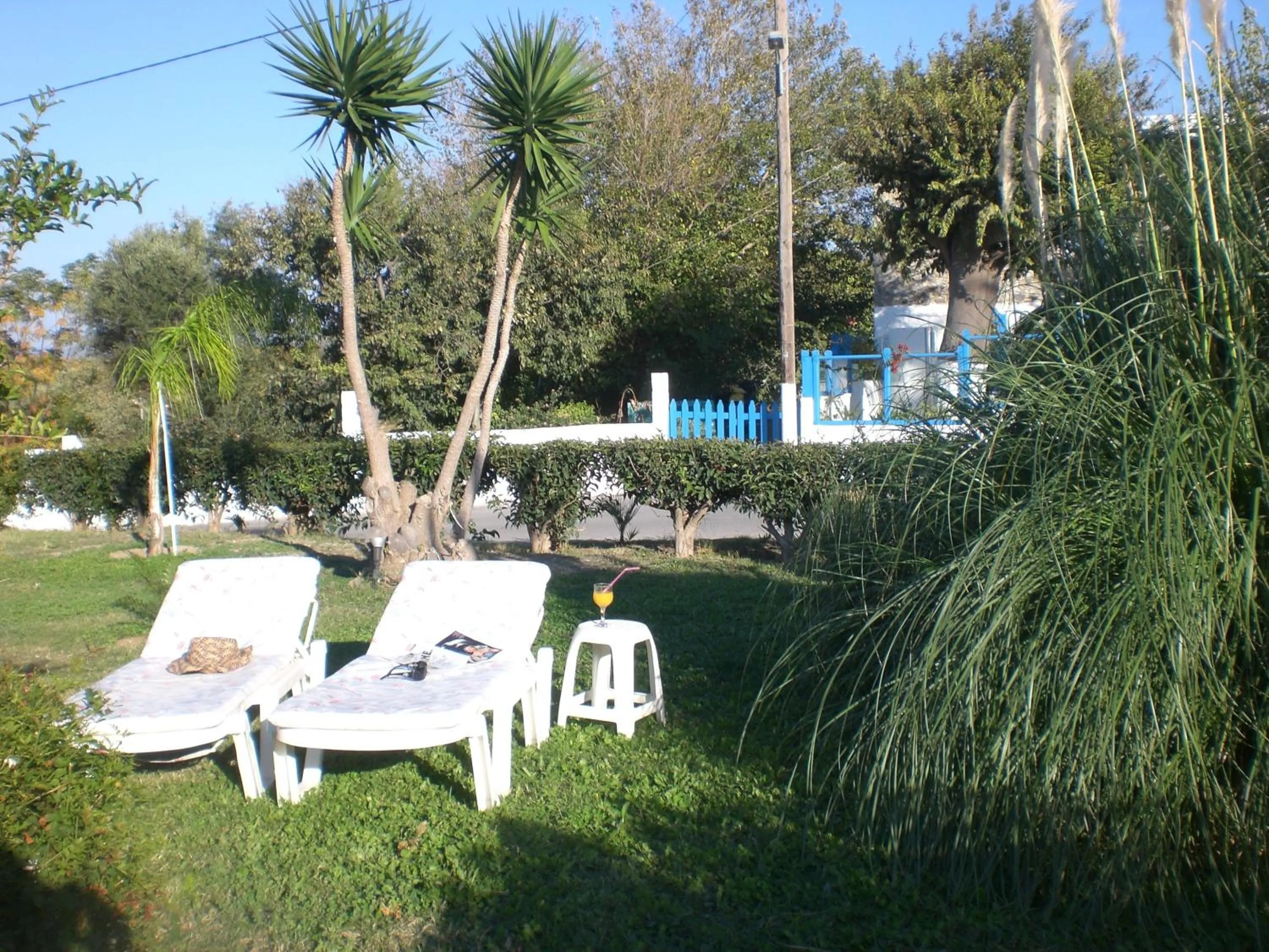 Garden in Eftihia Apartments