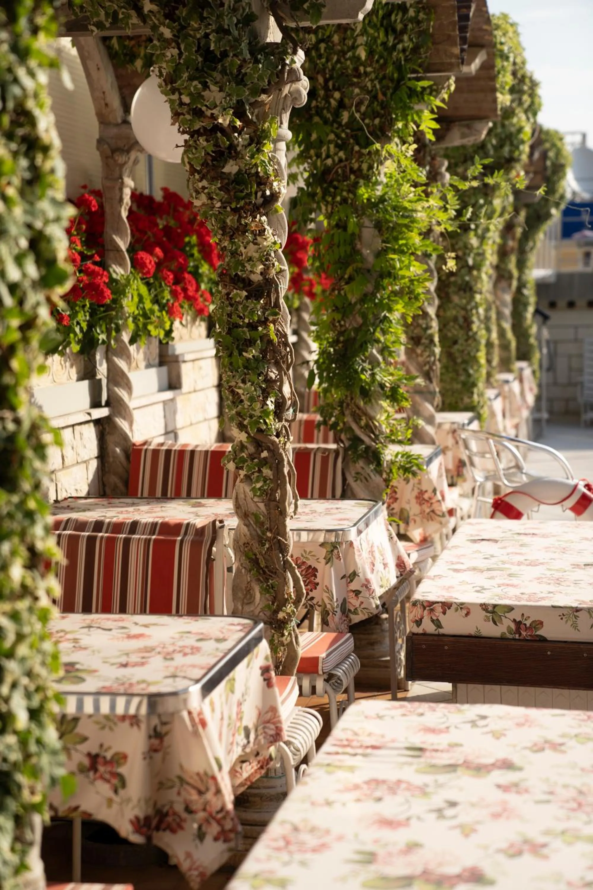 Garden in Hotel Flamingo