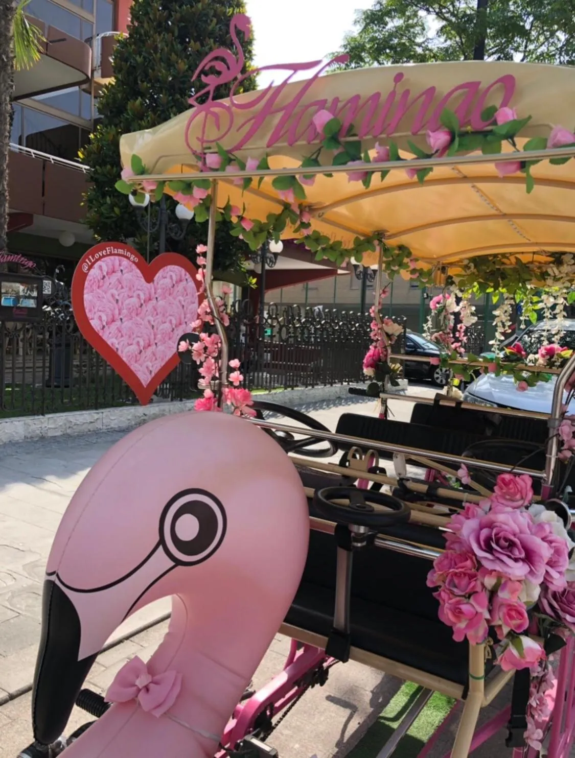 Day in Hotel Flamingo