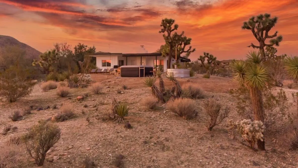 Kinetic House-Joshua Trees Sculptures Cowboy Pool