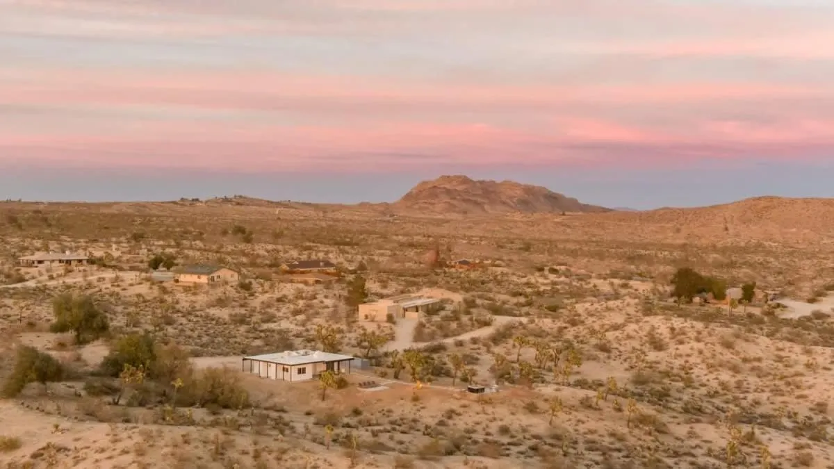 Kinetic House-Joshua Trees Sculptures Cowboy Pool