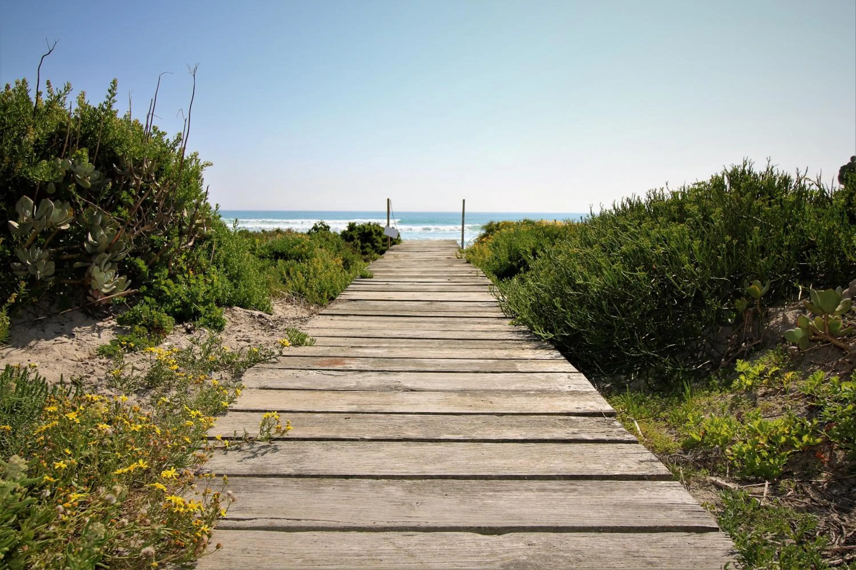 Bird's eye view in Baywatch Guest House