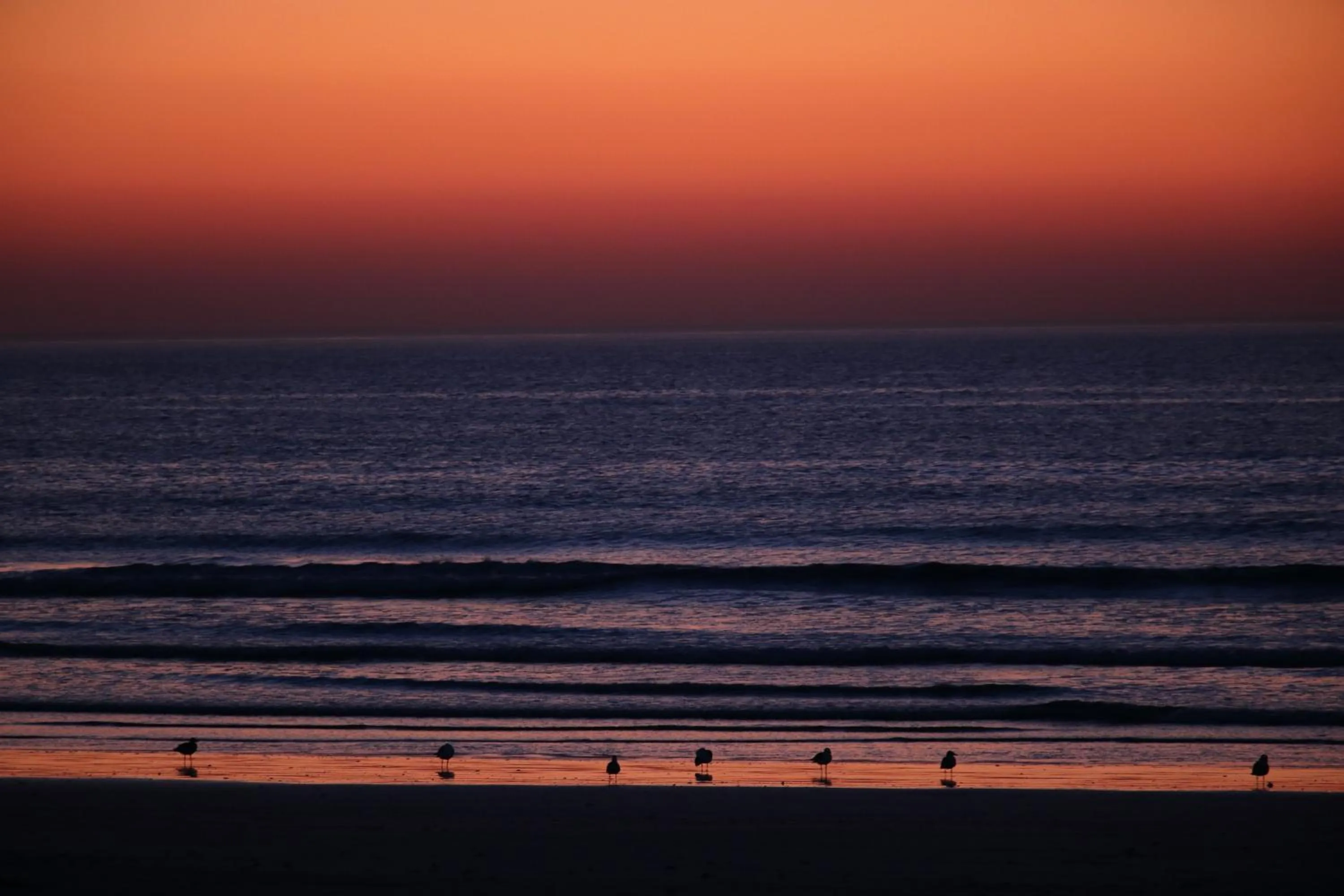 Beach in Baywatch Guest House