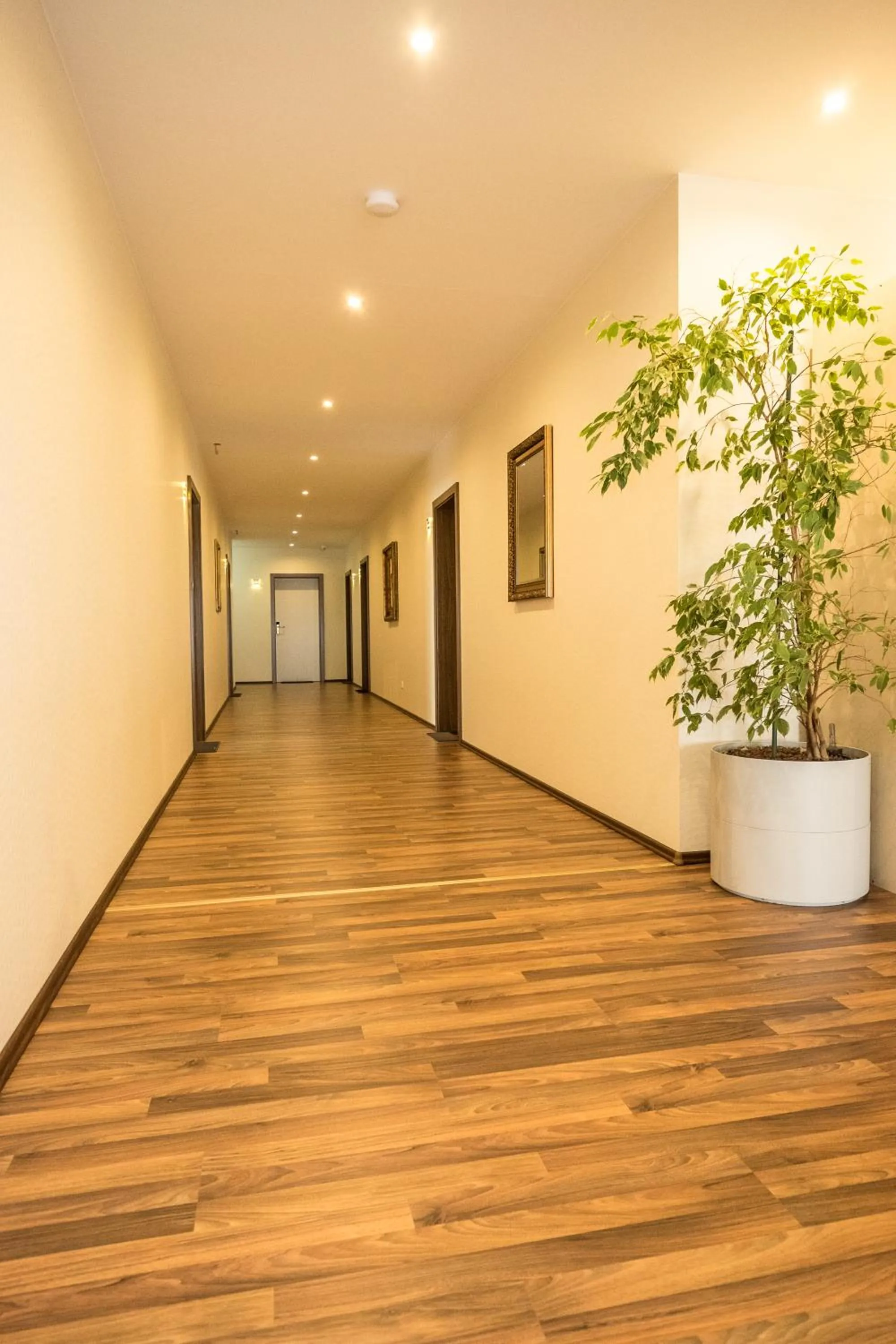 Other in Hotel Viola