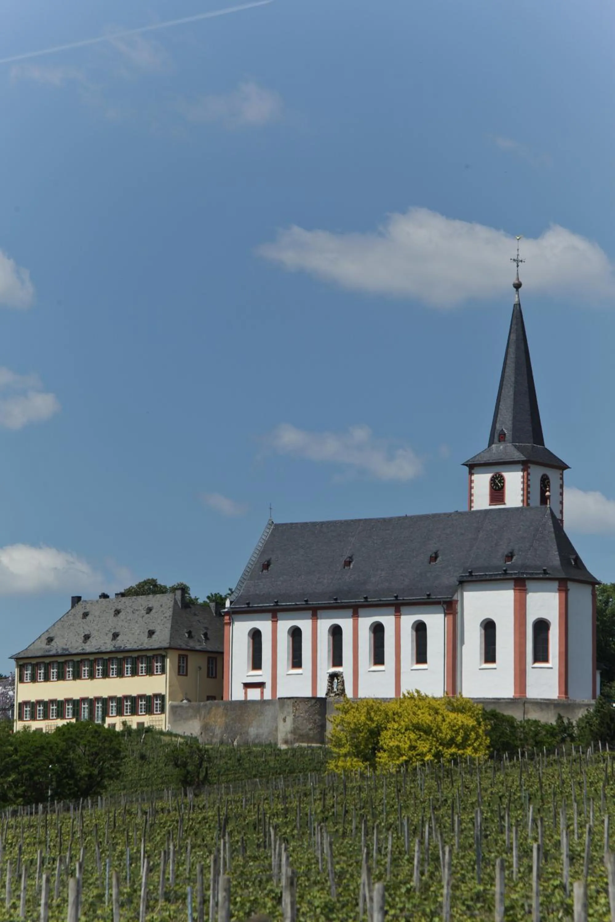 Property building in Hotel Viola