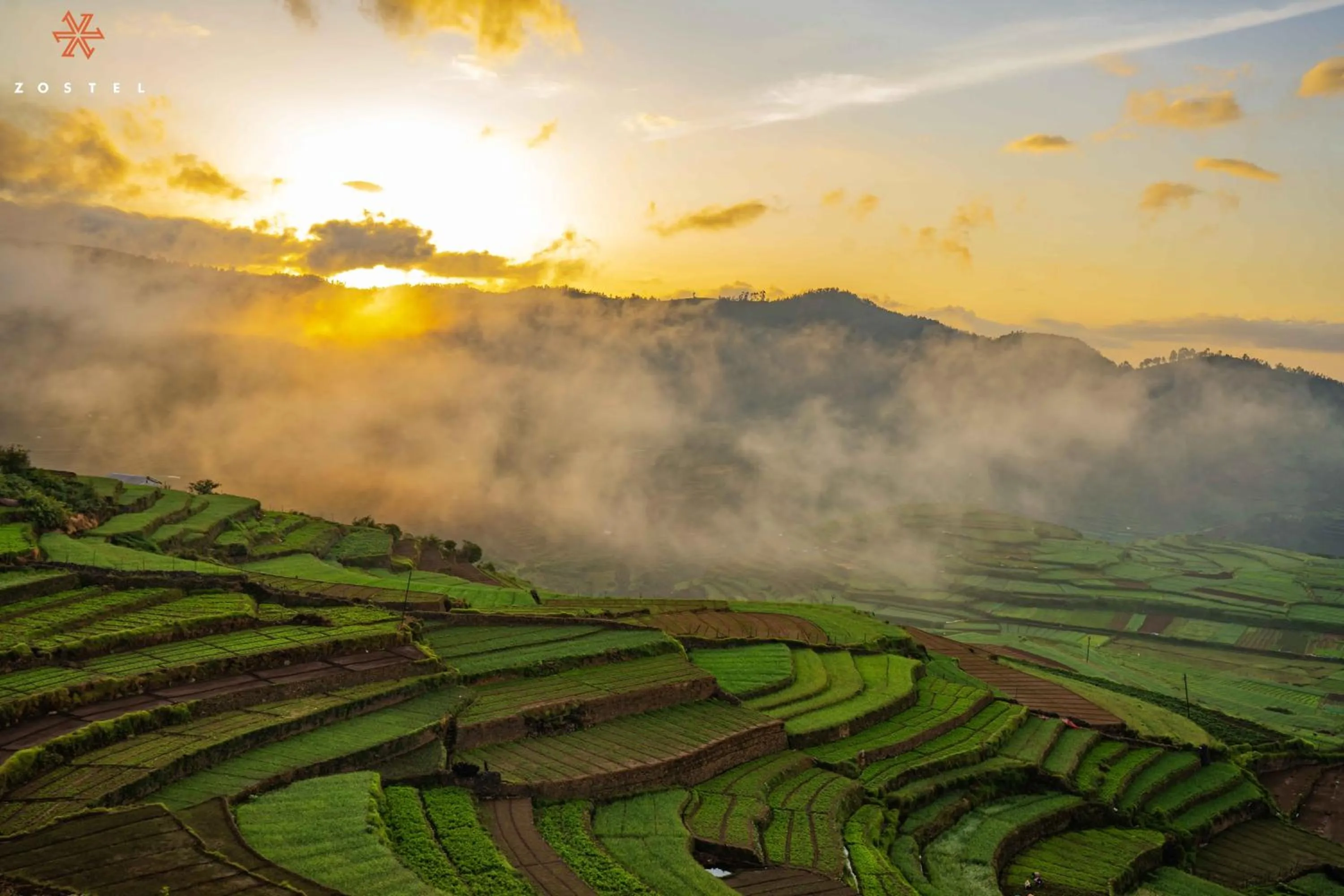 Natural landscape in Zostel Plus Poombarai, Kodaikanal