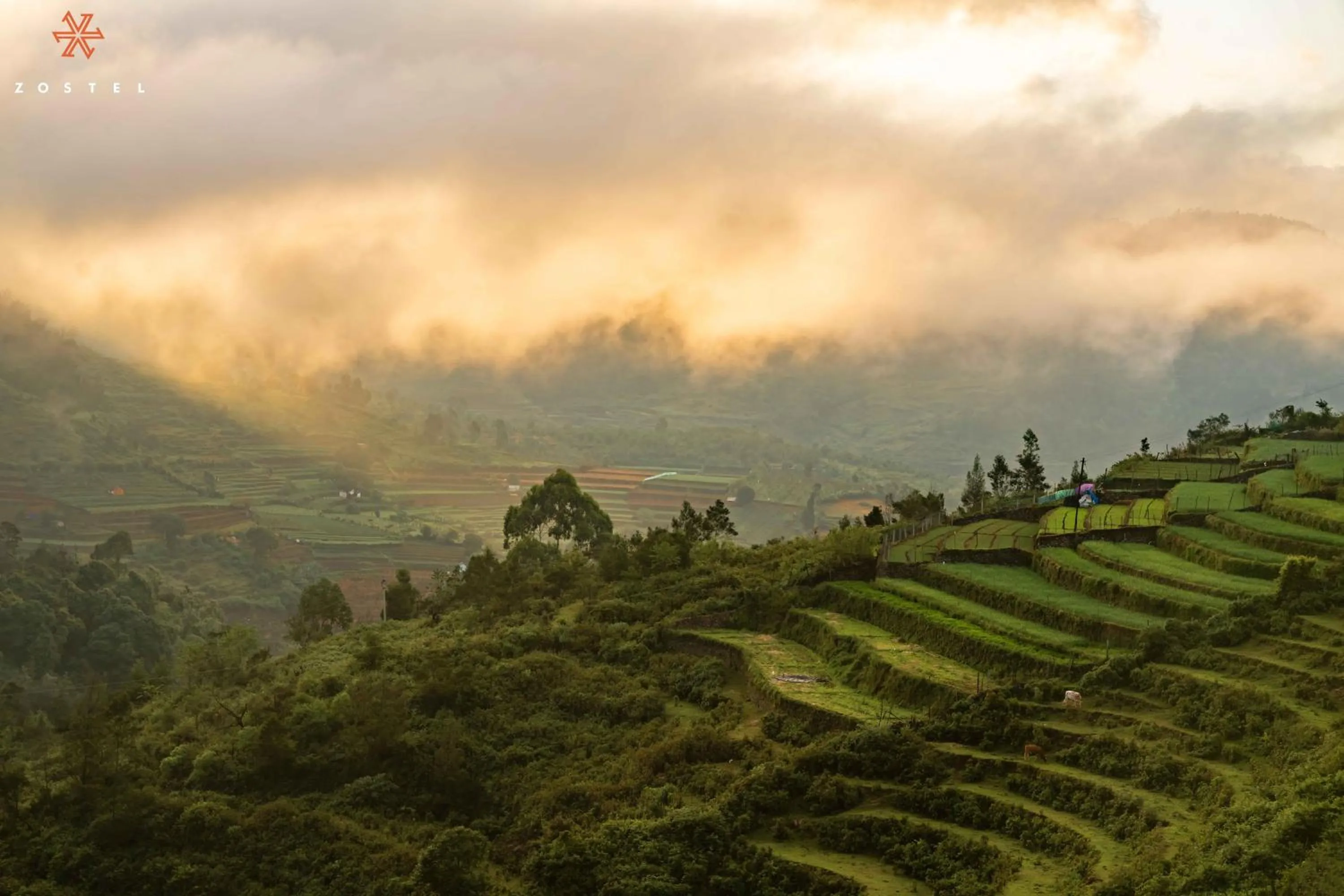 Day in Zostel Plus Poombarai, Kodaikanal