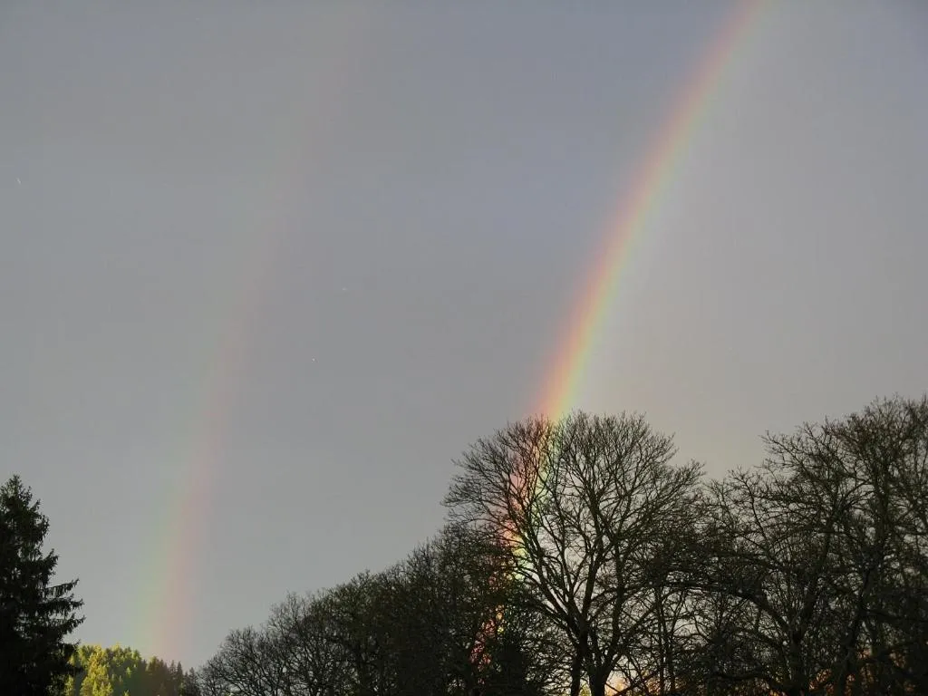 Other in Bio-Hotel Zum Forsthaus