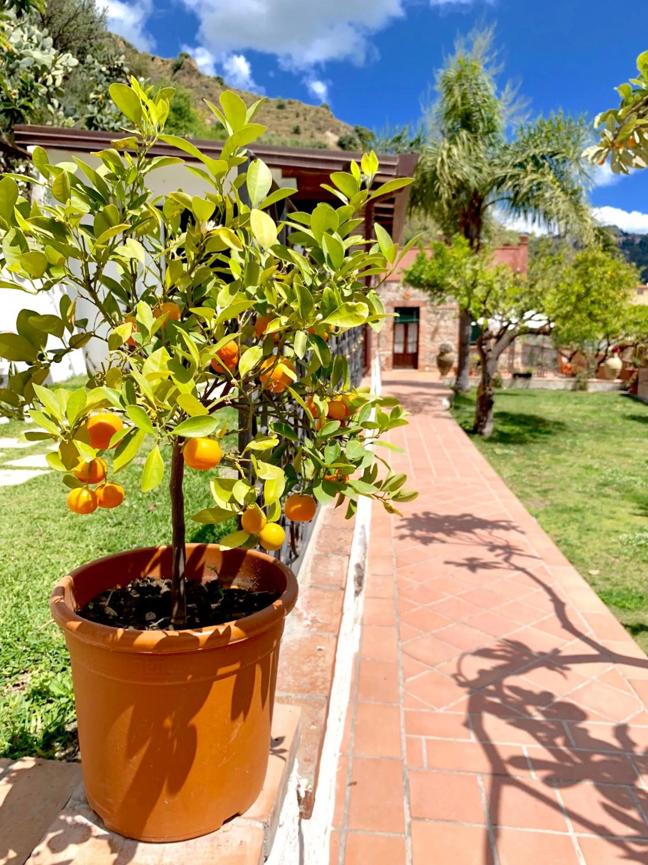 Garden in B&B Villa Vittoria