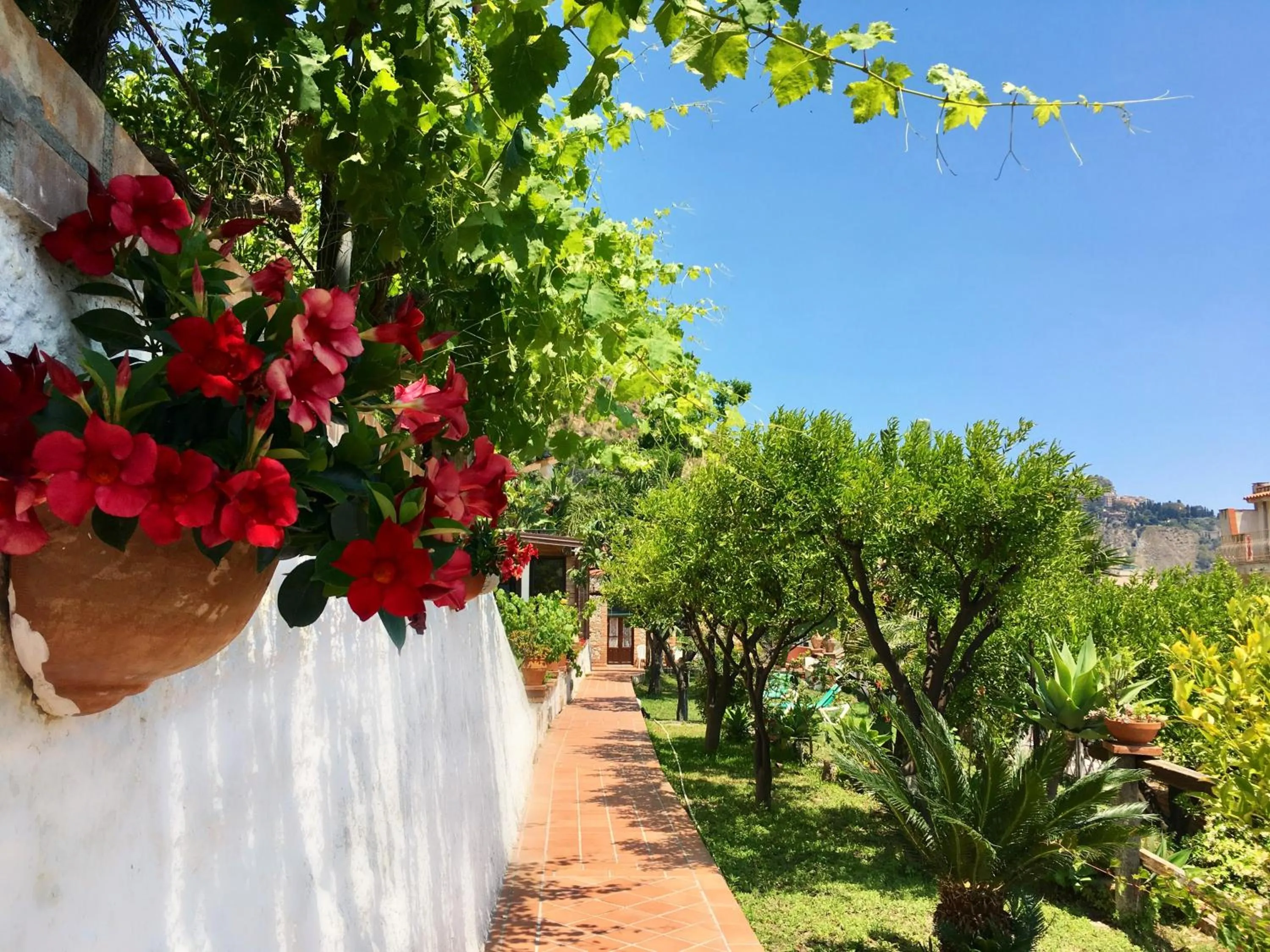 Garden in B&B Villa Vittoria