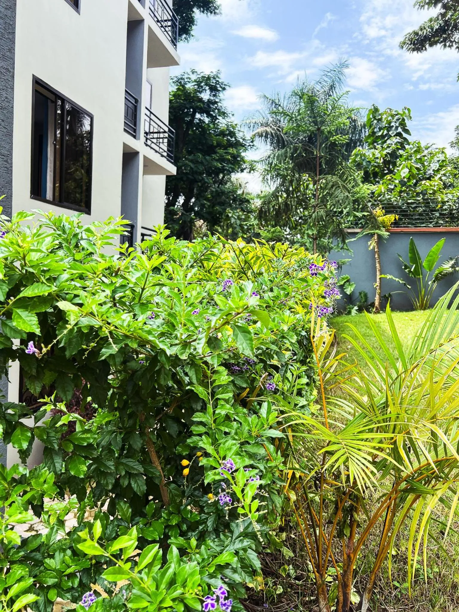 Garden in Greenside Hotel