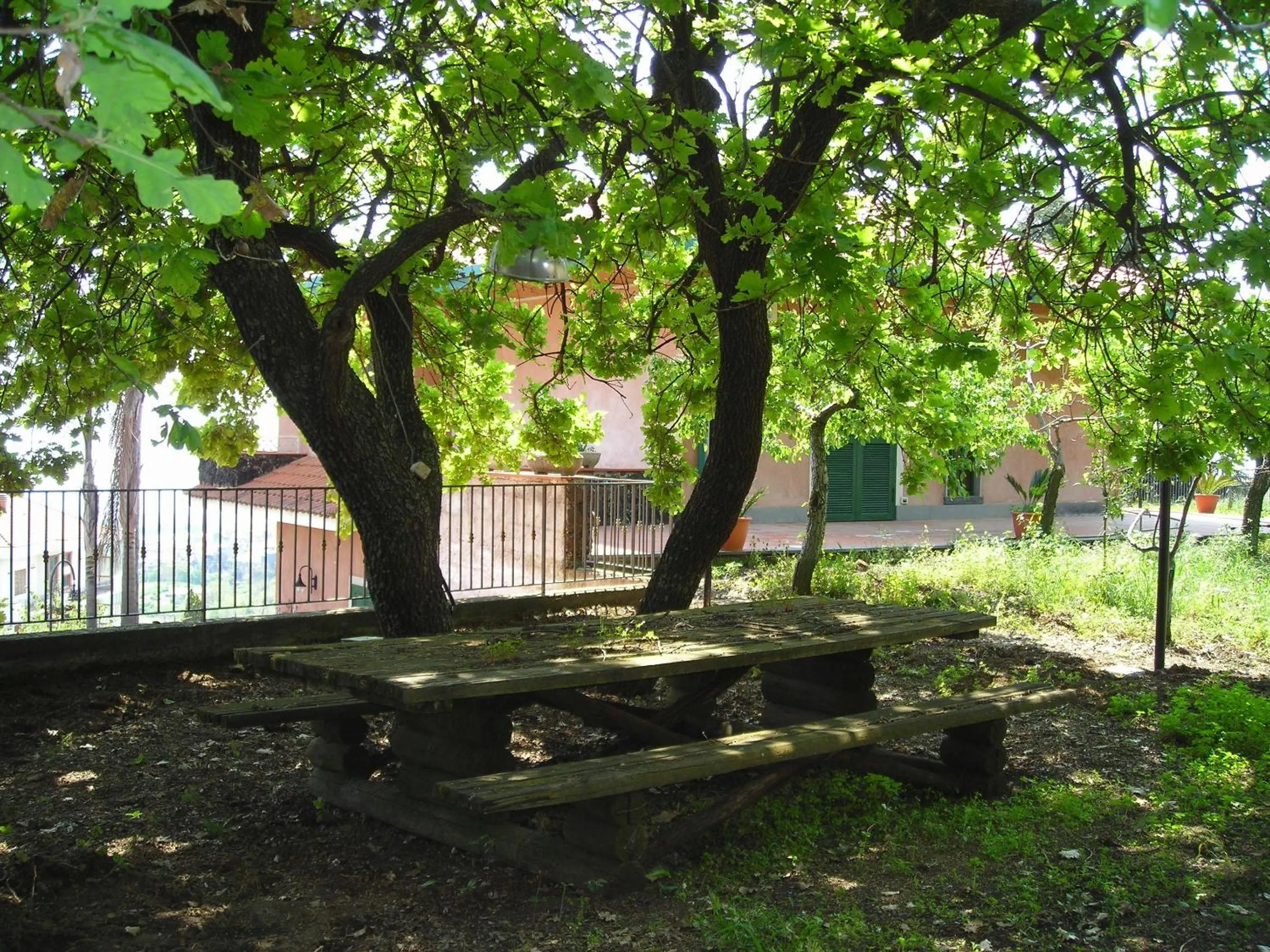 Garden in B&B Villa Dagala