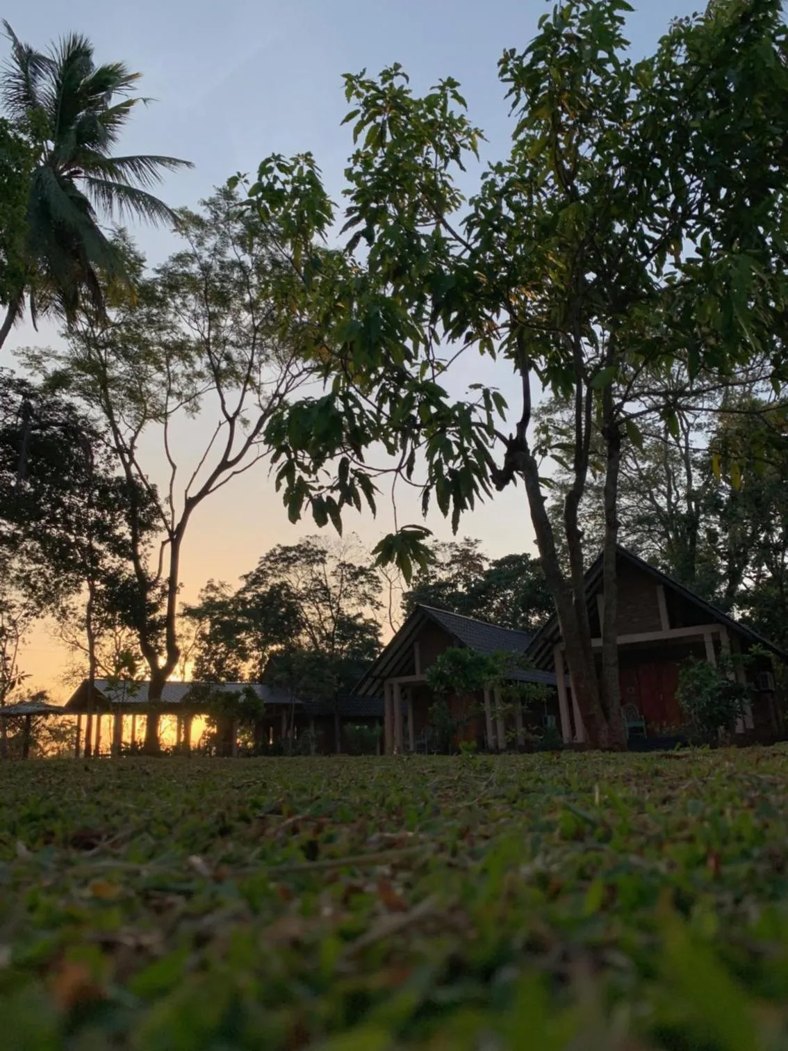 Property building in The Cottage Sigiriya