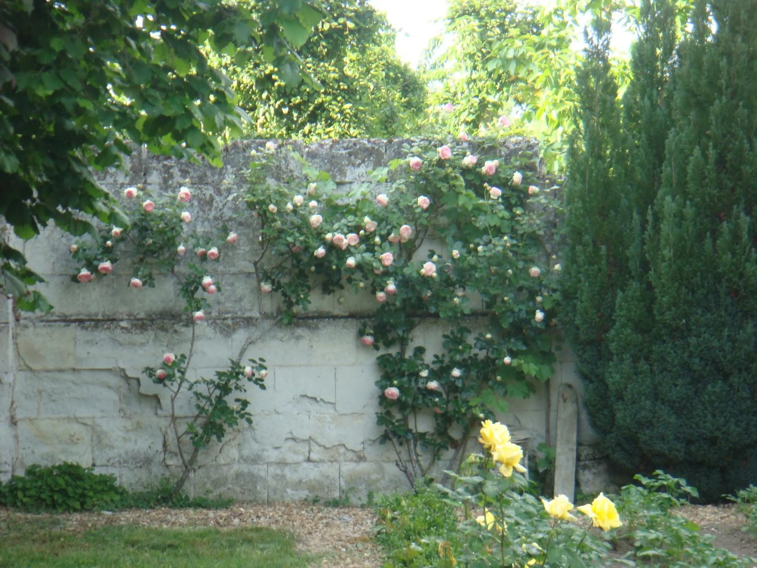 Garden in Villa Chanelle