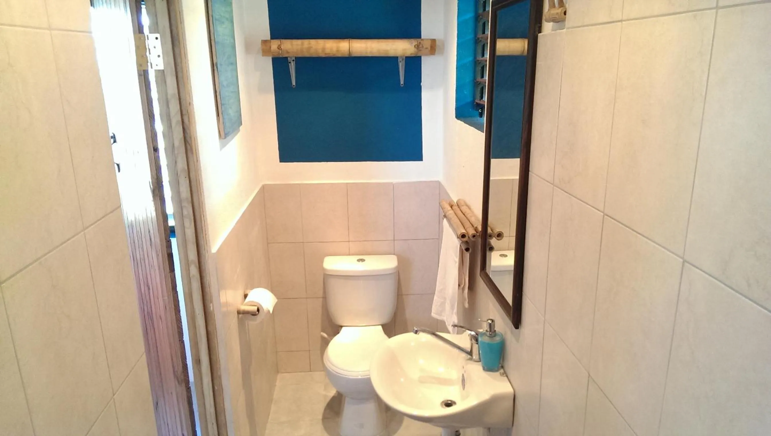 Toilet in Germaican Hostel